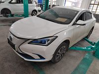 2021 逸动新能源