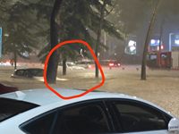 2020 英菲尼迪Q50L