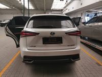 2018 雷克萨斯NX(进口)