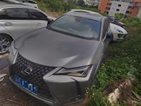 2021 雷克萨斯UX(进口)