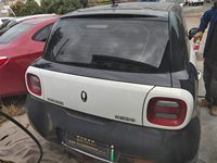 2022 欧拉黑猫[欧拉R1]