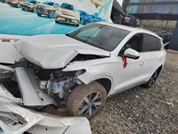 2023 宋Pro新能源