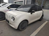 2021 欧拉黑猫[欧拉R1]