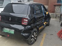 2019 欧拉黑猫[欧拉R1]