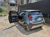 2022 小蚂蚁[奇瑞eQ1]