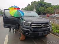 2024 坦克400新能源