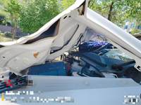 2023 2022年产纯电动