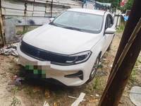 2023 风行S50EV[景逸S50 EV]