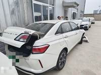 2019 启辰D60新能源