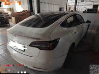 2019 Model 3(进口)
