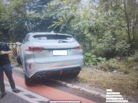 2019 WEY VV7