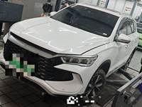 2024 宋Pro新能源