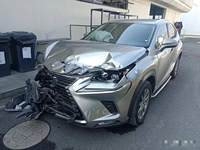 2021 雷克萨斯NX(进口)