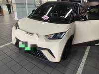 2024 海鸥
