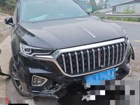2021 红旗HS5