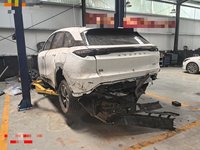 2024 极狐 阿尔法T5(ARCFOX αT5)