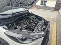 2024 卡罗拉锐放