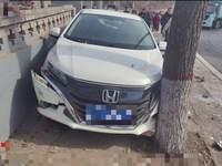 2017 竞瑞