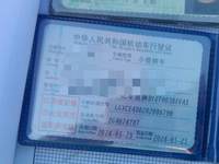 2024 元PLUS