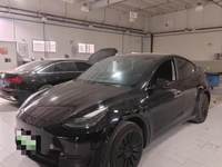  Model Y