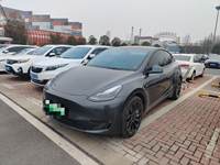  Model Y