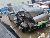 2024 宋PLUS新能源