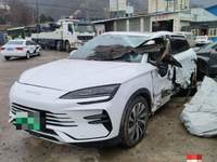 2024 宋PLUS新能源