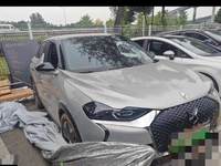 2022 DS 3新能源(进口)
