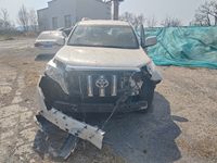 2017 普拉多(进口)