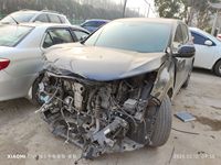 2020 本田CR-V[思威]