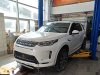 2022 发现运动版