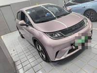 2024 海豚