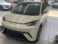 2025 海鸥