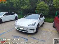 2019 Model 3(进口)