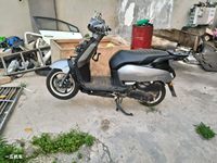 2022 新大洲-本田SDH125T-39两轮摩托车