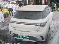 2024 海豚