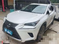 2020 雷克萨斯NX(进口)