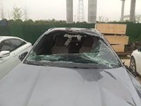 2024 宋Pro新能源