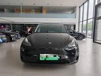  Model Y