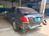 2010 翼豹(进口)