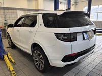 2024 发现运动版