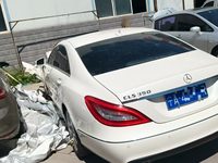 2013 奔驰CLS级(进口)