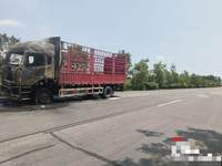 豪沃牌仓栅式运输车