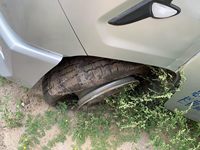 长安SC1032DFAA6载货汽车