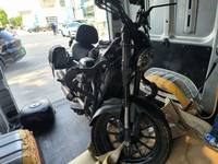 2024 摩天牌车辆运输车