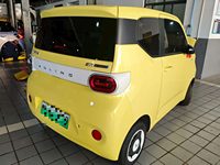 2025 宏光MINI EV