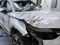 2021 宋PLUS新能源