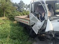 江淮HFC1042PW4K1B3V载货汽车