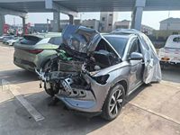 2024 宋Pro新能源