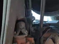 欧曼BJ5319CCYY6GRL-01仓栅式运输车